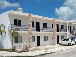Condominium 2 chambre à louer à Merida, Yucatan, Merida