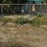 Studio Apartment for rent in Tampico, Tamaulipas, Tampico