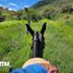 Land for sale in Tierra Nueva, San Luis Potosi, Tierra Nueva