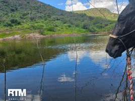  Grundstück zu verkaufen in Tierra Nueva, San Luis Potosi, Tierra Nueva, San Luis Potosi