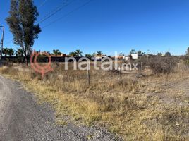  Land for sale in Silao, Guanajuato, Silao