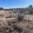  Land for sale in Silao, Guanajuato, Silao