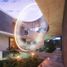 8 Schlafzimmer Haus zu verkaufen in Cozumel, Quintana Roo, Cozumel, Quintana Roo