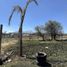  Grundstück zu verkaufen in Almoloya De Juarez, Mexico, Almoloya De Juarez