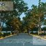  Land for sale in Conkal, Yucatan, Conkal