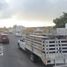  Grundstück zu verkaufen in Jaltenco, Mexico, Jaltenco