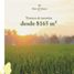  Land for sale in Progreso, Yucatan, Progreso