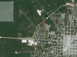  Terreno (Parcela) en venta en Motul, Yucatán, Motul