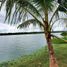  Terreno (Parcela) en venta en Othon P Blanco, Quintana Roo, Othon P Blanco