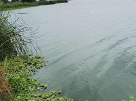  Terreno (Parcela) en venta en Othon P Blanco, Quintana Roo, Othon P Blanco
