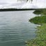  Terreno (Parcela) en venta en Othon P Blanco, Quintana Roo, Othon P Blanco