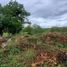  Terreno (Parcela) en venta en Othon P Blanco, Quintana Roo, Othon P Blanco