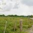  Land for sale in Tlalixcoyan, Veracruz, Tlalixcoyan