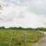  Land for sale in Tlalixcoyan, Veracruz, Tlalixcoyan