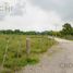  Land for sale in Tlalixcoyan, Veracruz, Tlalixcoyan
