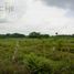  Land for sale in Tlalixcoyan, Veracruz, Tlalixcoyan