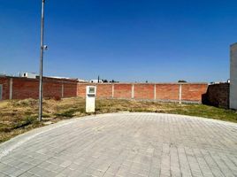  Terreno (Parcela) en venta en San Jeronimo Tecuanipan, Puebla, San Jeronimo Tecuanipan, Puebla