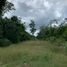  Grundstück zu verkaufen in Cozumel, Quintana Roo, Cozumel