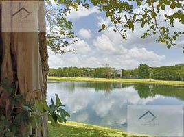  Land for sale in Merida, Yucatan, Merida