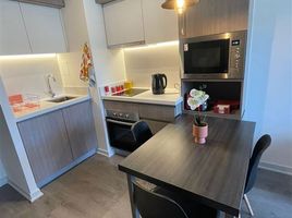 1 chambre Appartement for rent in Valparaiso, Vina Del Mar, Valparaiso, Valparaiso