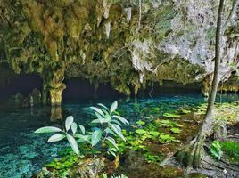  Terreno (Parcela) en venta en Cozumel, Quintana Roo, Cozumel