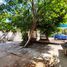 Maison 3 chambre à vendre à Merida, Yucatan, Merida