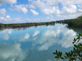  Grundstück zu verkaufen in Othon P Blanco, Quintana Roo, Othon P Blanco