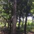  Land for sale in Campeche, Campeche, Campeche, Campeche