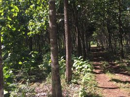  Land for sale in Campeche, Campeche, Campeche, Campeche