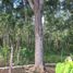  Land for sale in Campeche, Campeche, Campeche, Campeche