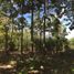  Land for sale in Campeche, Campeche, Campeche, Campeche