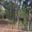  Land for sale in Campeche, Campeche, Campeche, Campeche