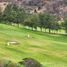  Land for sale in Morelia, Michoacan, Morelia