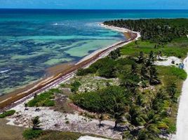  Grundstück zu verkaufen in Othon P Blanco, Quintana Roo, Othon P Blanco