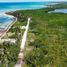  Grundstück zu verkaufen in Othon P Blanco, Quintana Roo, Othon P Blanco