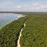  Grundstück zu verkaufen in Othon P Blanco, Quintana Roo, Othon P Blanco