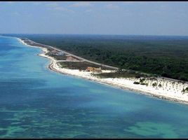  Land for sale in Carmen, Campeche, Carmen, Campeche