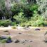  Land for sale in Emiliano Zapata, Veracruz, Emiliano Zapata, Veracruz