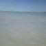 Terrain à vendre à Othon P Blanco, Quintana Roo, Othon P Blanco