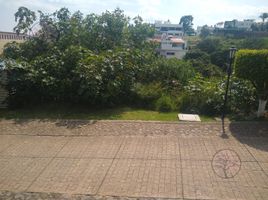  Grundstück zu verkaufen in Huitzilac, Morelos, Huitzilac