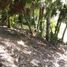  Grundstück zu verkaufen in Othon P Blanco, Quintana Roo, Othon P Blanco