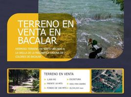  Grundstück zu verkaufen in Othon P Blanco, Quintana Roo, Othon P Blanco