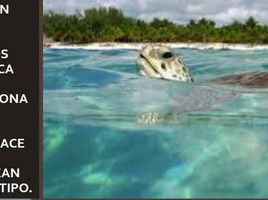  Grundstück zu verkaufen in Cozumel, Quintana Roo, Cozumel
