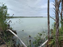  Grundstück zu verkaufen in Othon P Blanco, Quintana Roo, Othon P Blanco