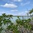  Grundstück zu verkaufen in Othon P Blanco, Quintana Roo, Othon P Blanco