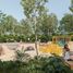  Terreno (Parcela) en venta en Cozumel, Quintana Roo, Cozumel, Quintana Roo