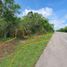  Land for sale in Valladolid, Yucatan, Valladolid