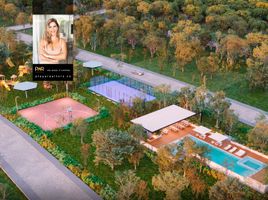  Grundstück zu verkaufen in Othon P Blanco, Quintana Roo, Othon P Blanco