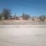  Terreno (Parcela) en venta en Jesus Maria, Aguascalientes, Jesus Maria