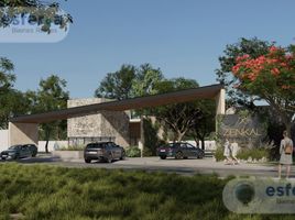  Grundstück zu verkaufen in Yaxkukul, Yucatan, Yaxkukul